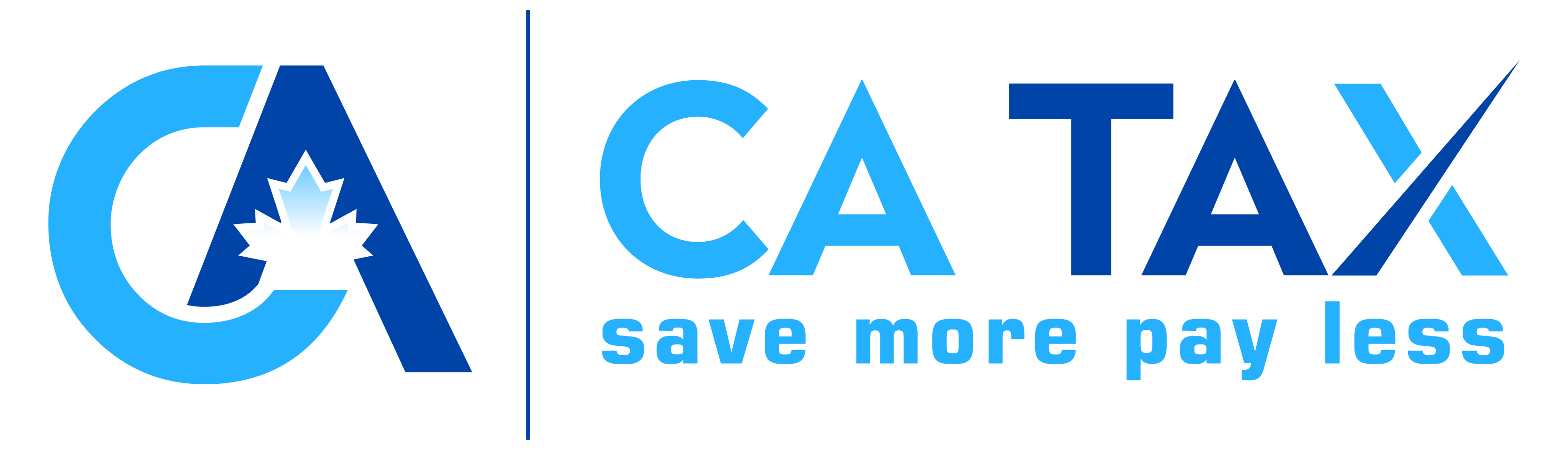 CA Tax